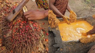 HOW TO MAKE NIGERIAN PALM OIL | ENUGU PALM OIL