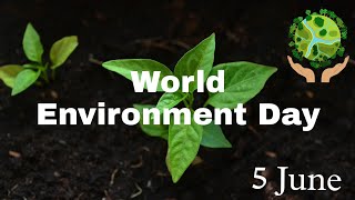 World Environment Day 2022 | Wishes  On World Environment Day 2022 | world environment day status