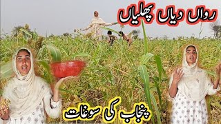 Punjab Ki Sogat | Beautiful Village Life Of Pakistan .