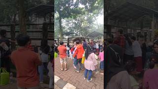 KERAMAIAN KEBUN BINATANG RAGUNAN JAKARTA #amffamily #satwalangka #viral #wisatajakarta