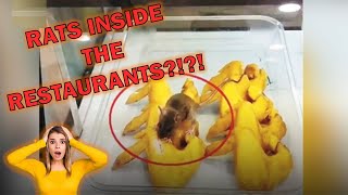 Rats Found In Restaurants (VERY DISGUSTING)