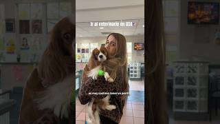 Ir al veterinario en USA🇺🇸 #shorts #usa #vlog