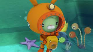 Octonauts Wither Special - The Great