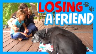 🐾 Saying Goodbye to Apollo ⚰️  Our Favorite Memories of Apollo