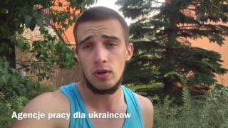 Как бесплатно найти работу в Польше? | Польские агенства по трудоустройству | Google.pl