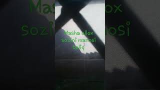 masha olox sozi