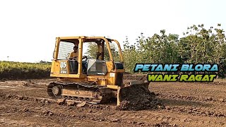 Proses Satukan 4 petak Sawah Dengan Bulldozer Jepang D31px