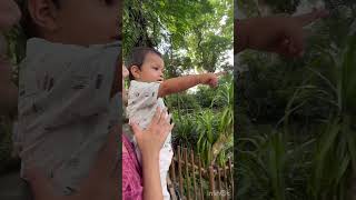 Visited Singapore Zoo with our Toddler! Best zoo in the world #minivlogs