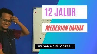 12 Meredian Umum pada Tubuh