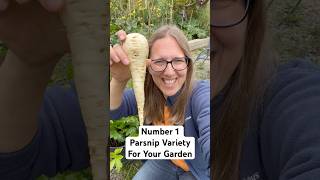 Number 1 Parsnip Variety for Raised Beds and Containers!