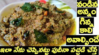 Pudina pachadi | Pudina chutney | Pudina Pickle | Mint chutney in telugu | Pudina Pachadi in telugu