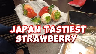 Trying Japanese Strawberry