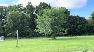 Serene landscape at kelso conservation area Milton