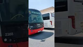 HIGER BUS IN UAE