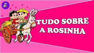 Tudo sobre a Rosinha