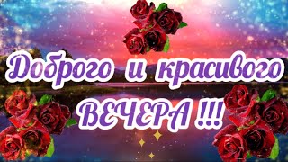 Доброго, летнего вечера! Нежное пожелание доброй ночи и сладких снов! Душевного и волшебного отдыха!