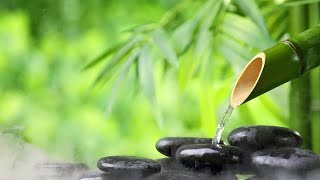 Musica Curativa & Sonidos De Agua 🍀🍀 Restaurar La Salud y Rejuvenecer El Cuerpo