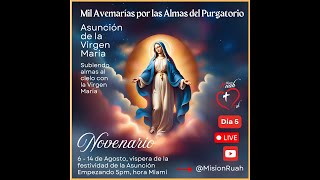 DIA 5 NOVENARIO MIL AVEMARIAS POR LAS ALMAS DEL PURGATORIO @MisionRuah