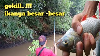 Luar Biasa❗Ikan Tawes Kepet Merah  Sambaranya Bikin Kaget, Umpanya Ampuh