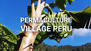 PERMACULTURE VILLAGE PERU - Living with Nature