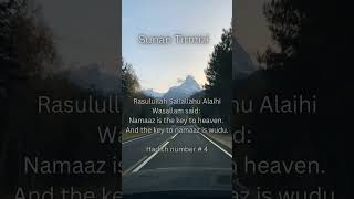 Sunan Tirmizi hadith #shorts #viralvideo #hadees #islamicstatus