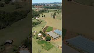 SÍTIO GRANDE PANORÂMICO PERTO DA CIDADE COM 2 CASAS ESTUFAS AGUA E TERRA BOA  R$ 2,1 MI-Código: 2449