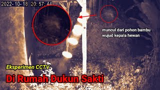 Eksperimen Cctv Penampakan di belakang rumah dukun sakti - muncul dari pohon bambu wujud kepala