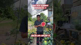 Mau hasil maksimal jangan lupa subscribe