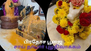 பிரதோச பூஜை | சாய் தா்பாா் புழதிவாக்கம்