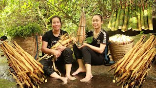 Green forest life - Harvest bamboo shoots and wild vegetables to sell at the market - Forest life