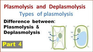 Plasmolysis and deplasmolysis | Types of plasmolysis | Difference between plasmolysis  deplasmolysis