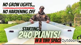 Starting 240 Plants in a TINY Space! |NO Grow Lights, NO Hardening Off, Easy Watering|