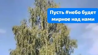 #смоленскаяобласть  С Добрым утром🤲