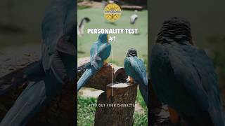 Personality Test #1 Find Out Your Character #shorts #personalitytest #quiz