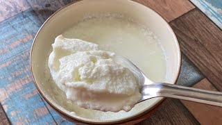 Make thick & Creamy Curd Everytime |गाढा मलाईदार दही जमाने का सही तरीक़ा