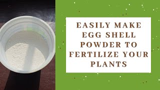 How to make egg shell powder to fertilize your plants