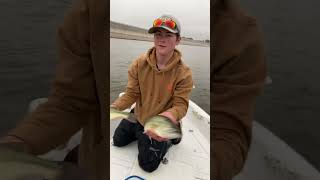 Enid Lake, Mississippi Bass Fishing