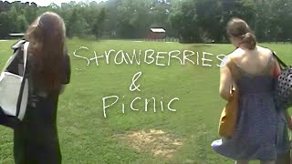 Strawberries & Picnic