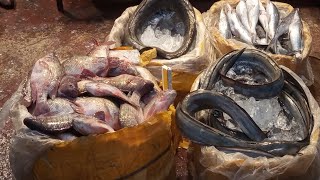 Fish Cutting in Fish Market | Fish Cutting Skills