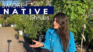 5 MORE Native Shrubs 🌿