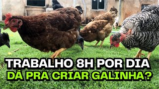 A VERDADE sobre CRIAR GALINHA! É pra todo mundo? | AGROCRIACAO