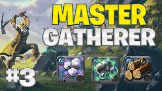 Maxing All Gathering Professions - Part 3 | Albion Online (Master Gatherer)