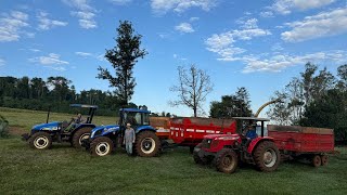 Trio parada dura da silagem