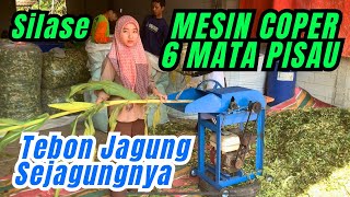 Buat SILASE Tebon Jagung Sejagungnya BISA SANGAT CEPAT Dengan Mesin Coper 6 MATA PISAU #mesincoper