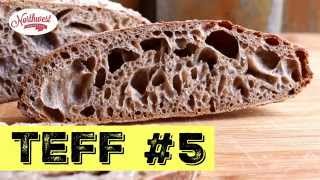 Sourdough Teff Loaf Series -  Steaming and Baking Video #5