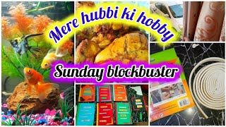 سنڈے اسپیشل | My Hubbi fish 🐠 hobby | اپنا ایکویریم سیٹ کرنا |  pearls Of Life sunday funday