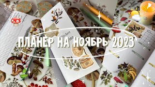 ежедневник на ноябрь 2023 · bullet journal · оформление ежедневника · plan with me✎