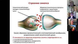 1  Теоретическая и функциональная анатомия нервной системы