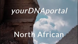 My YourDNAPortal Results | North African | Late 2021 | 4th run