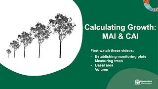 Calculating growth: MAI & CAI